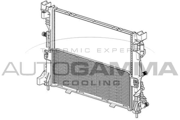 Radiator, engine cooling (107248)