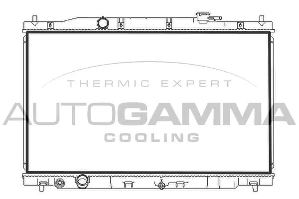 Radiator, engine cooling (107780)