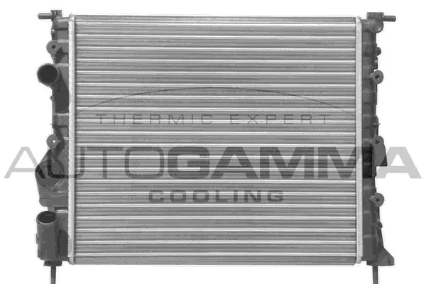 Radiator, engine cooling (101245)