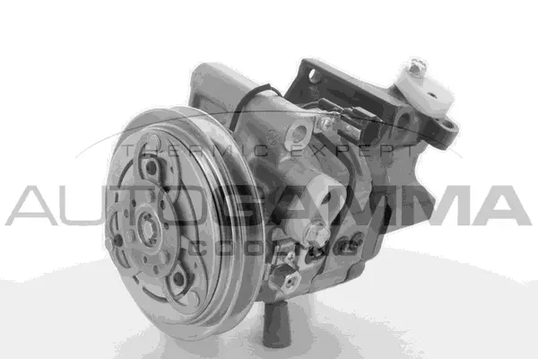 Compressor, air conditioning (118548)
