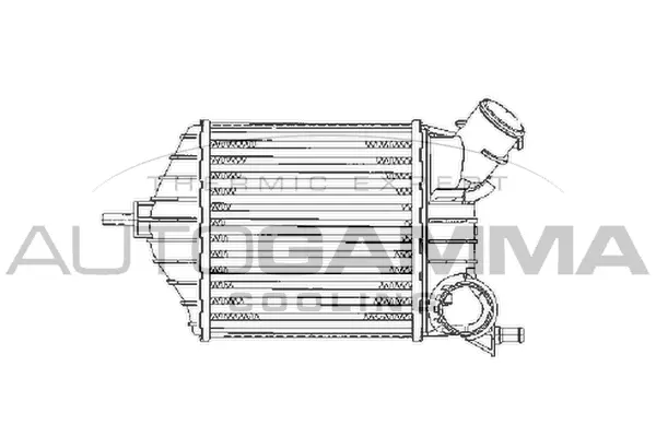 Charge Air Cooler (103166)