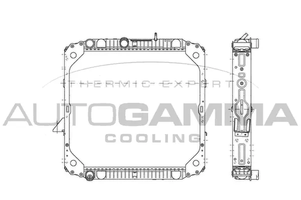 Radiator, engine cooling (404122)