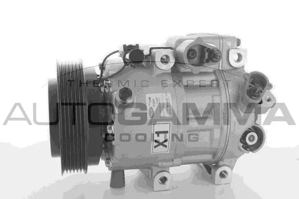Compressor, air conditioning (118501)