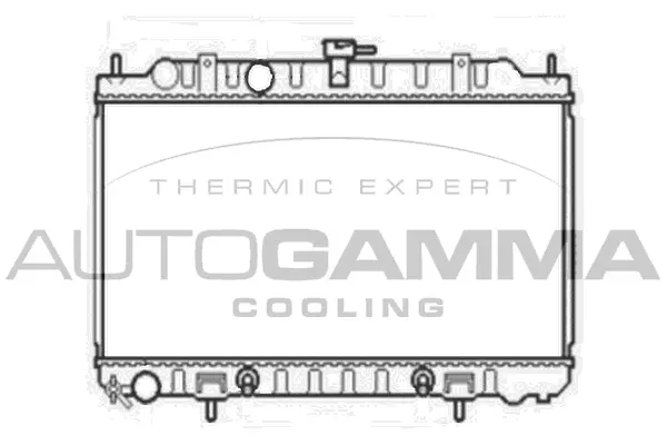 Radiator, engine cooling (105811)