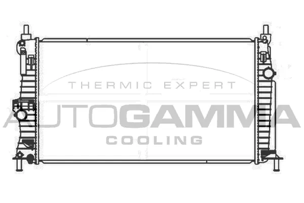 Radiator, engine cooling (107425)
