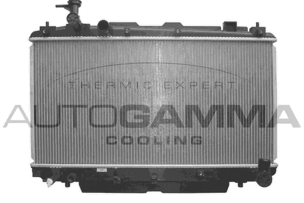 Radiator, engine cooling (103370)
