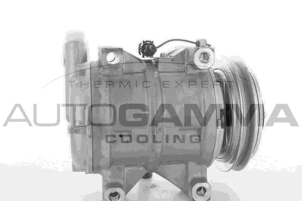 Compressor, air conditioning (118435)