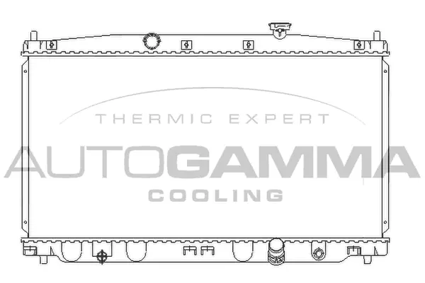 Radiator, engine cooling (107217)