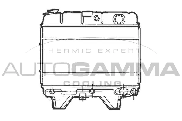 Radiator, engine cooling (100787)