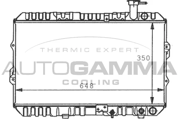 Radiator, engine cooling (100418)