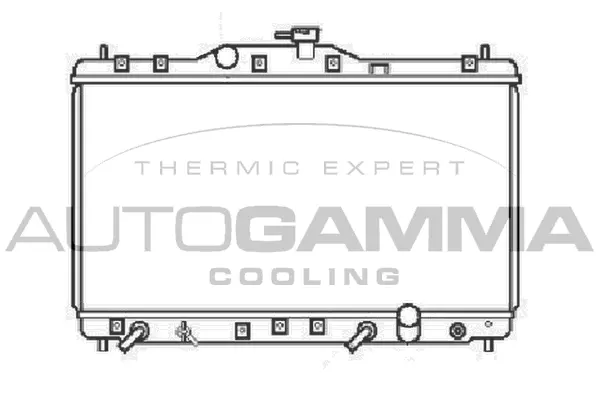 Radiator, engine cooling (102856)