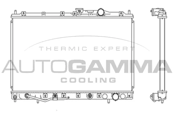 Radiator, engine cooling (102175)