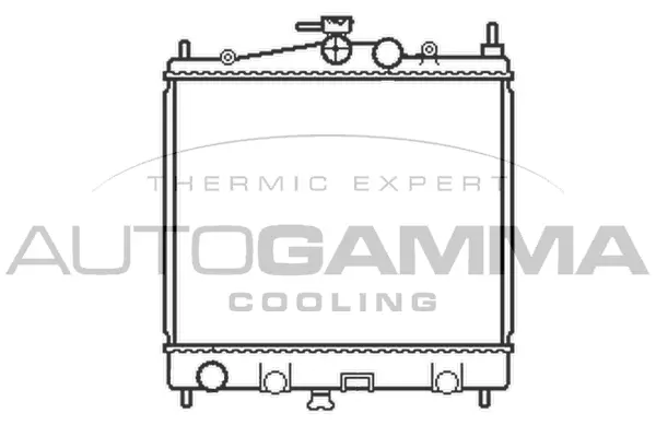 Radiator, engine cooling (103382)