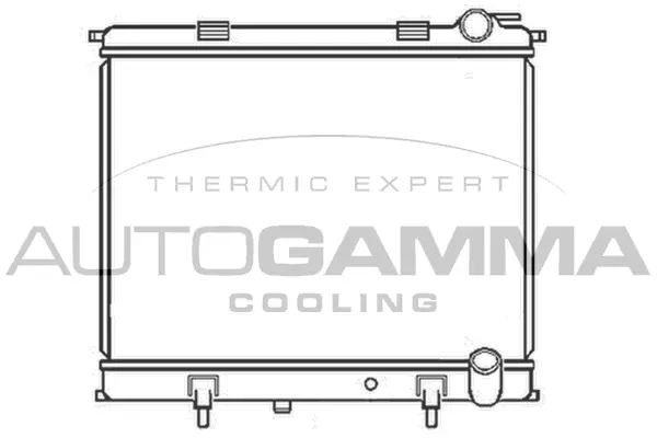 Radiator, engine cooling (104186)