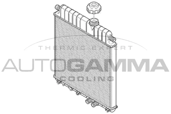 Radiator, engine cooling (102021)