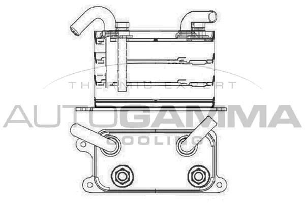 Oil Cooler, engine oil (105228)
