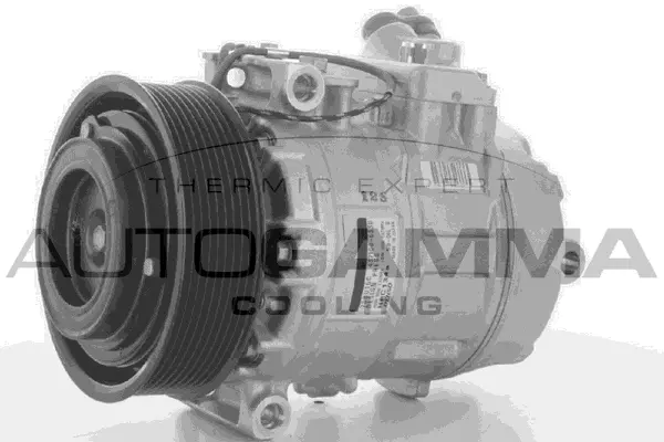 Compressor, air conditioning (118526)