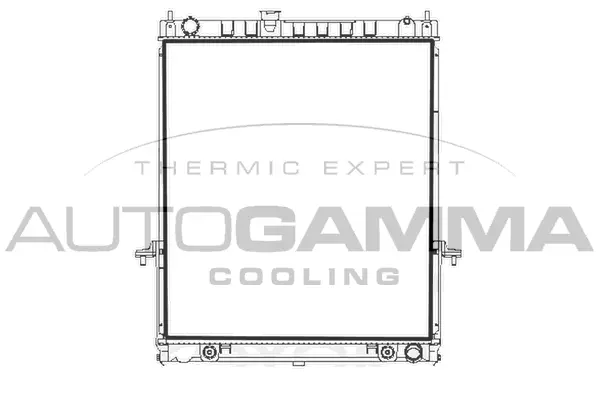 Radiator, engine cooling (107729)