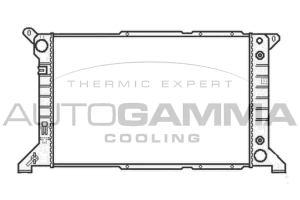 Radiator, engine cooling (102090)