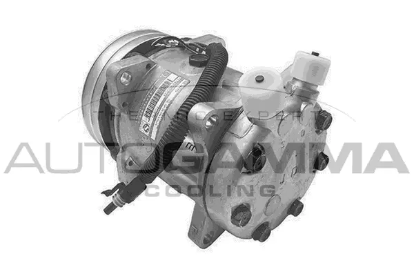 Compressor, air conditioning (108207)