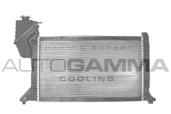 Radiator, engine cooling (101324)