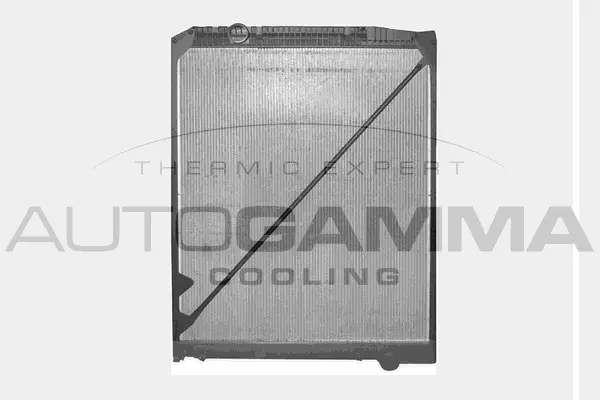 Radiator, engine cooling (400816)