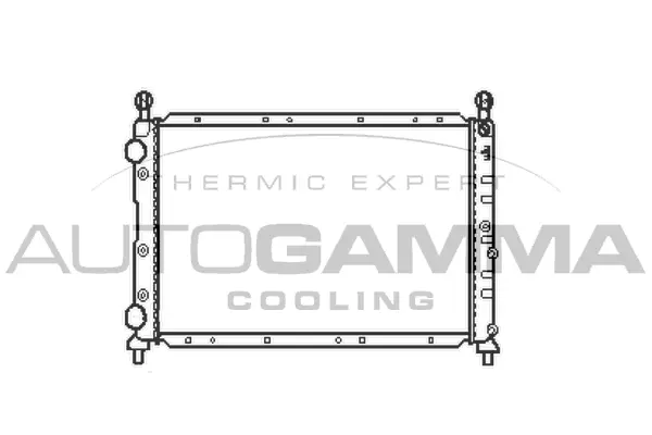 Radiator, engine cooling (101141)