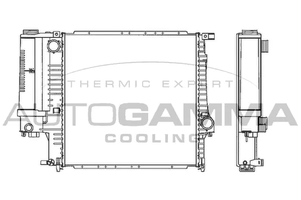 Radiator, engine cooling (101120)