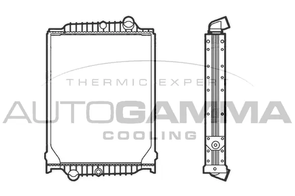 Radiator, engine cooling (405288)