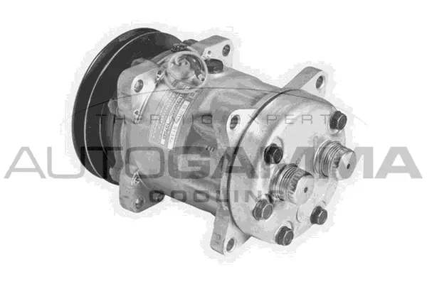 Compressor, air conditioning (108102)