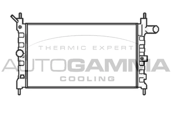 Radiator, engine cooling (104116)