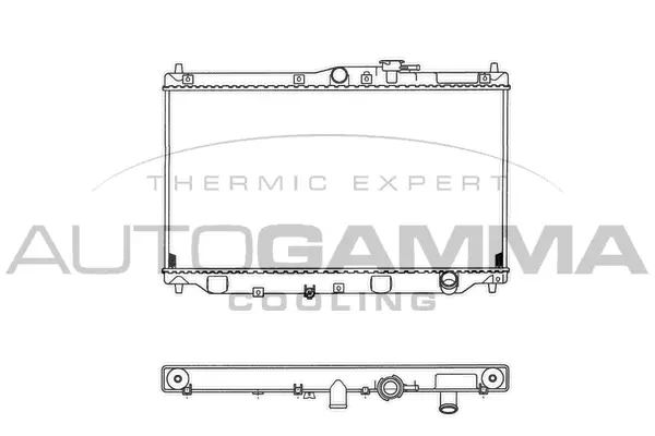 Radiator, engine cooling (100406)