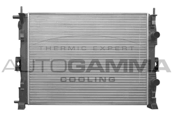 Radiator, engine cooling (103219)