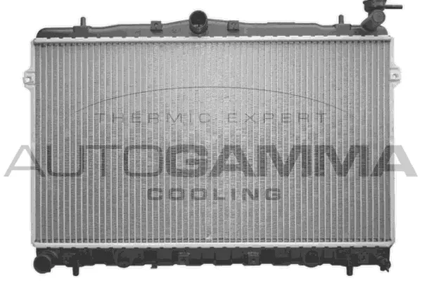 Radiator, engine cooling (101443)