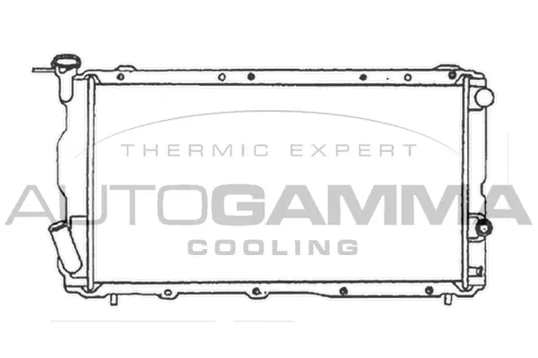 Radiator, engine cooling (105568)