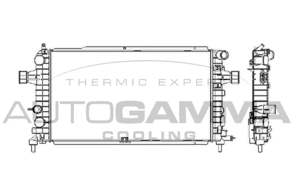 Radiator, engine cooling (103629)