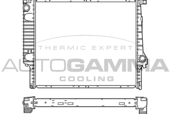 Radiator, engine cooling (100100)