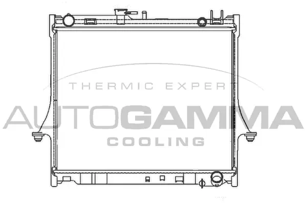 Radiator, engine cooling (107325)