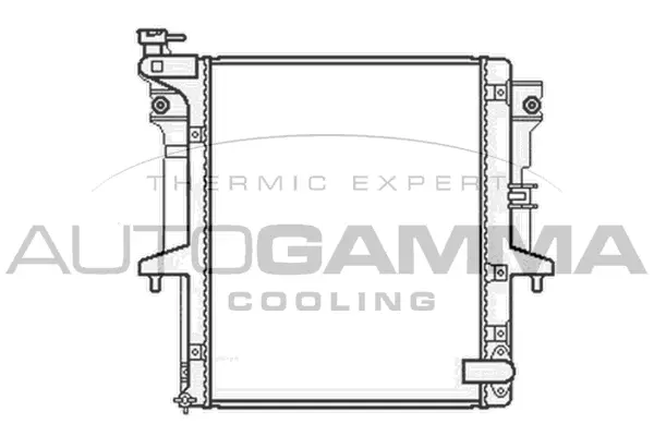 Radiator, engine cooling (105661)