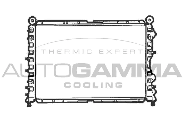 Radiator, engine cooling (100010)