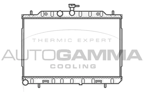 Radiator, engine cooling (105441)
