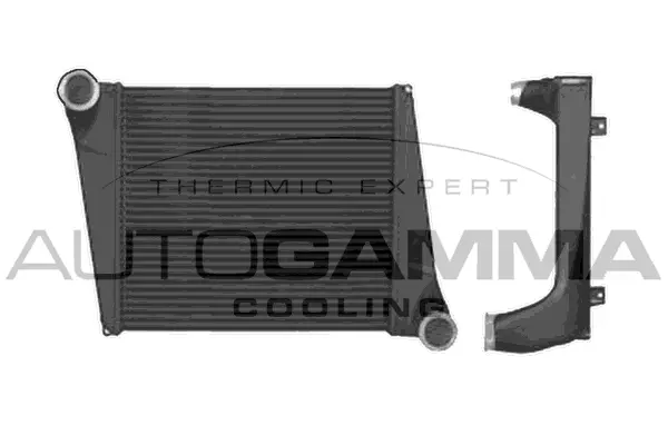 Charge Air Cooler (402144)