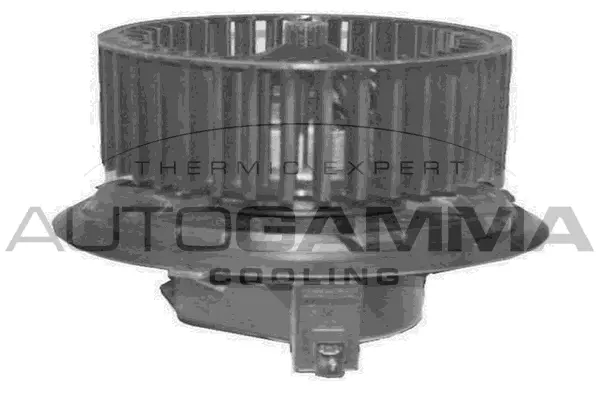 Interior Blower (GA20336)