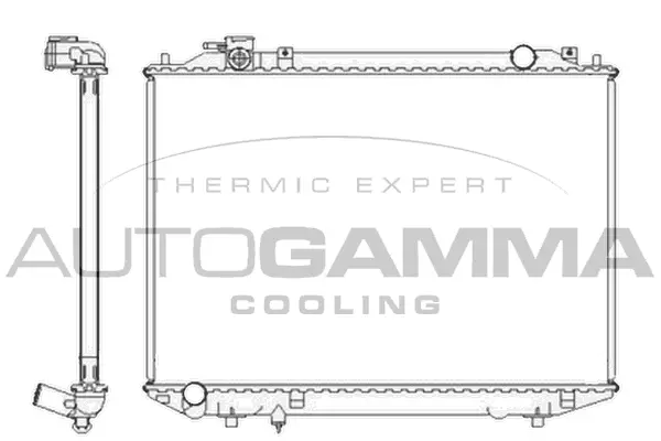 Radiator, engine cooling (104415)
