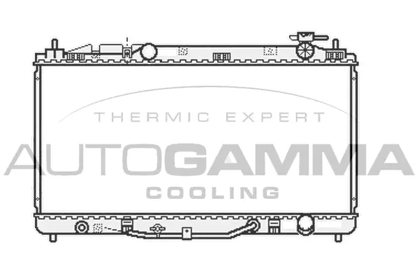 Radiator, engine cooling (107061)