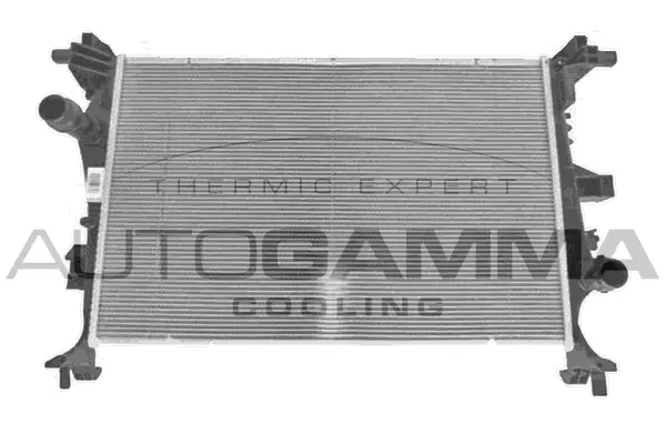 Radiator, engine cooling (107751)