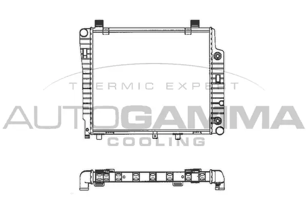 Radiator, engine cooling (101319)