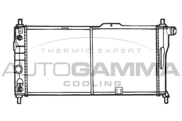 Radiator, engine cooling (100693)