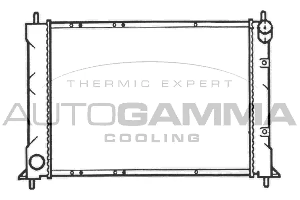 Radiator, engine cooling (103550)