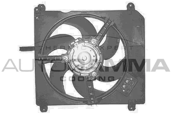 Fan, engine cooling (GA201050)